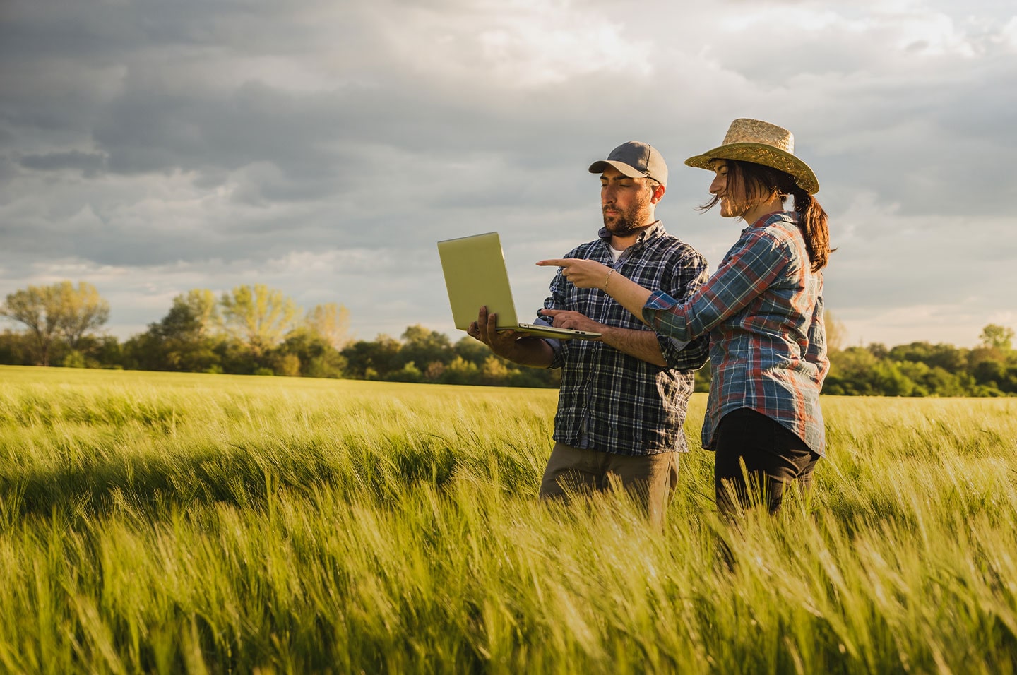 Farmers in field with laptop