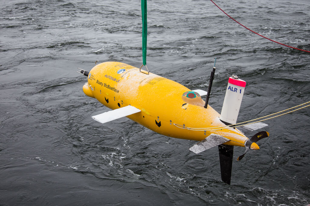 Boaty McBoatface